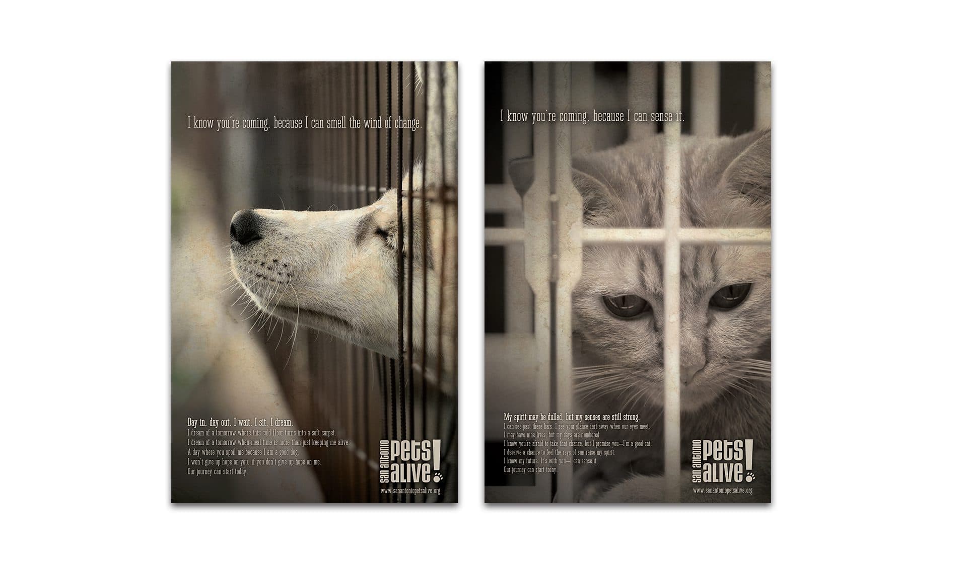 SA Pets Alive Posters