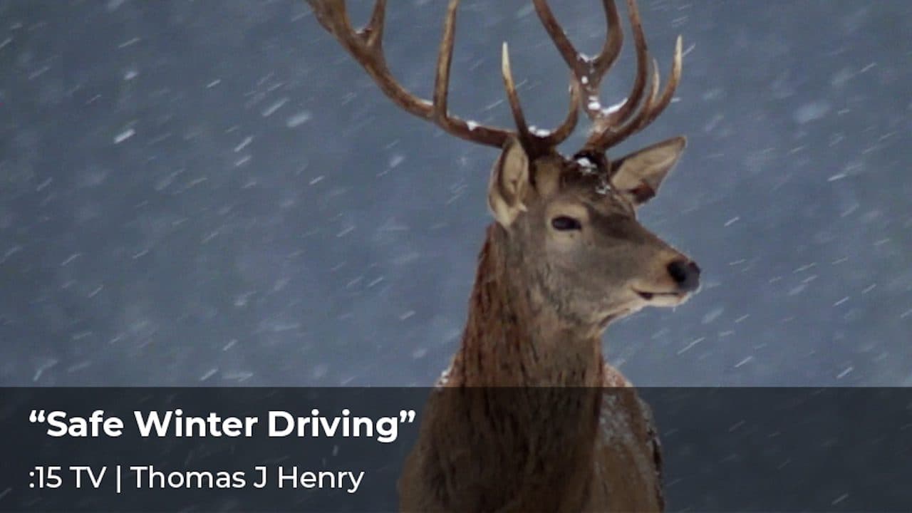 Thomas J Henry, “Safe Winter Driving”